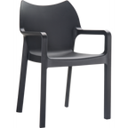 Diva Arm Chair