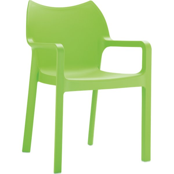 Diva Arm Chair